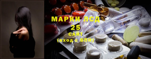 mdpv Богородицк