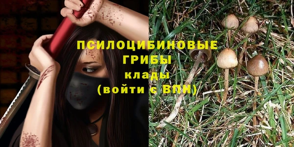 mdpv Богородицк